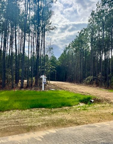 Lot 4 Honey Grove, Livingston, LA 70754