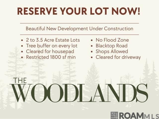 Lot 4 Honey Grove, Livingston, LA 70754