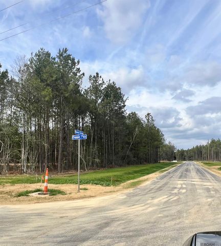 Lot 4 Honey Grove, Livingston, LA 70754
