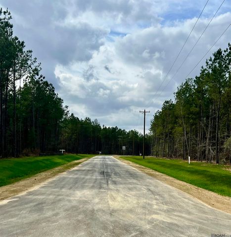 Lot 4 Honey Grove, Livingston, LA 70754