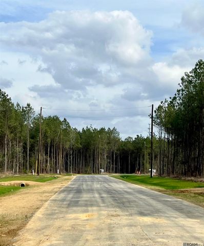 Lot 4 Honey Grove, Livingston, LA 70754