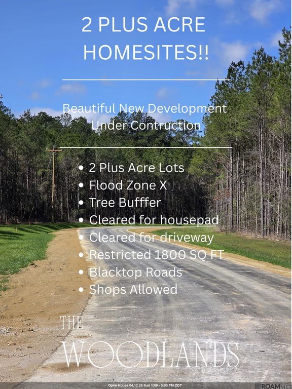 Lot 4 Honey Grove, Livingston, LA 70754