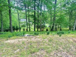 110 Fox Squirrel Dr, Dover, TN 37058