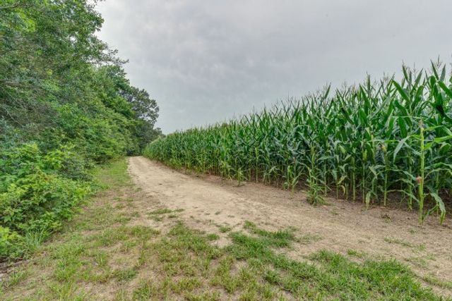 4664 New Cut Rd, Greenbrier, TN 37073