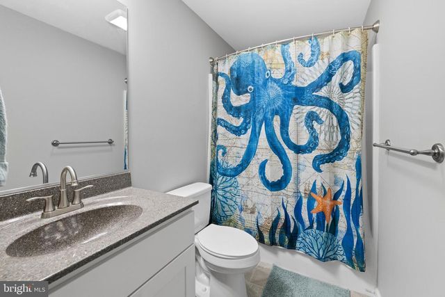 300 STONEWALL ST, Strasburg, VA 22657