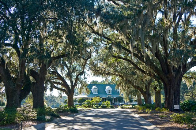 197 Silver Cypress Circle, Summerville, SC 29485
