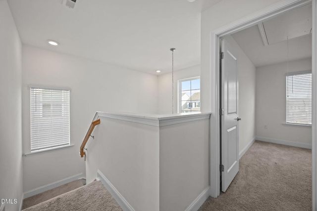 88 Antler Steel Drive, Clayton, NC 27527