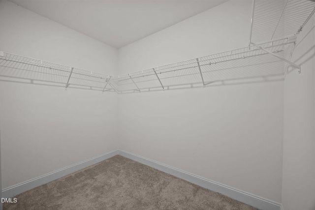 88 Antler Steel Drive, Clayton, NC 27527