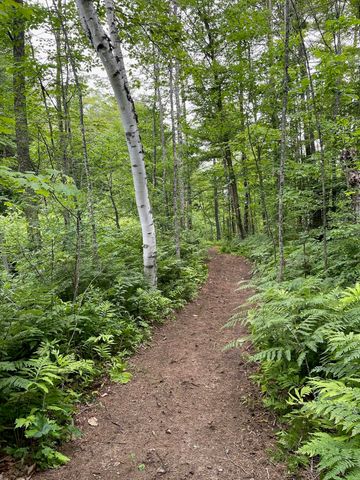 1766 Route 10 N, Grantham, NH 03753