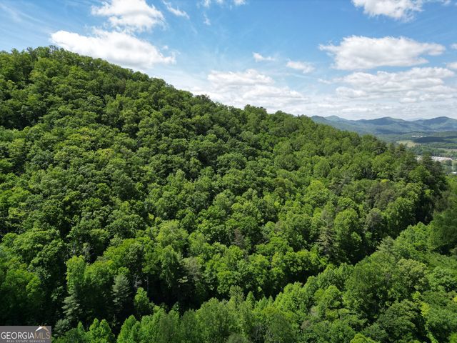 A Shake Hollow, Rabun Gap, GA 30568