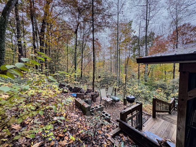 231 Dogwood Circle, Hayesville, NC 28904