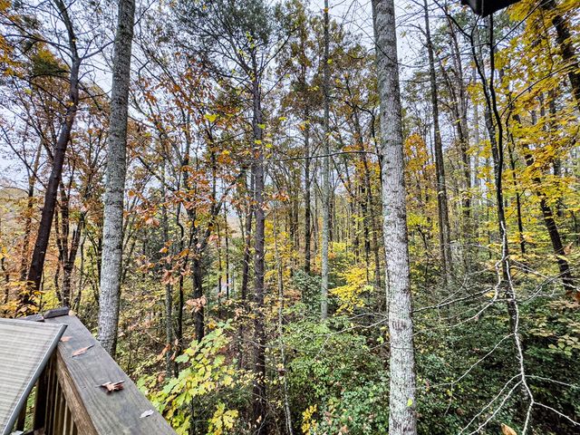 231 Dogwood Circle, Hayesville, NC 28904