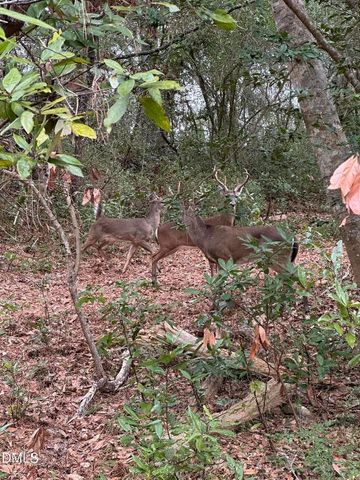 3116 Avondale Court, Raleigh, NC 27613