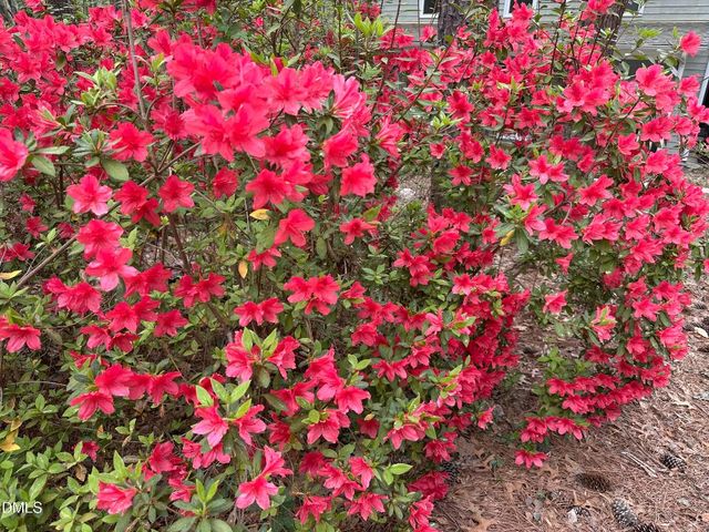 3116 Avondale Court, Raleigh, NC 27613