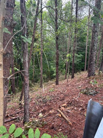 0 NW Benjamin Circle, Cleveland, TN 37312