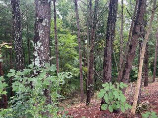 0 NW Benjamin Circle, Cleveland, TN 37312