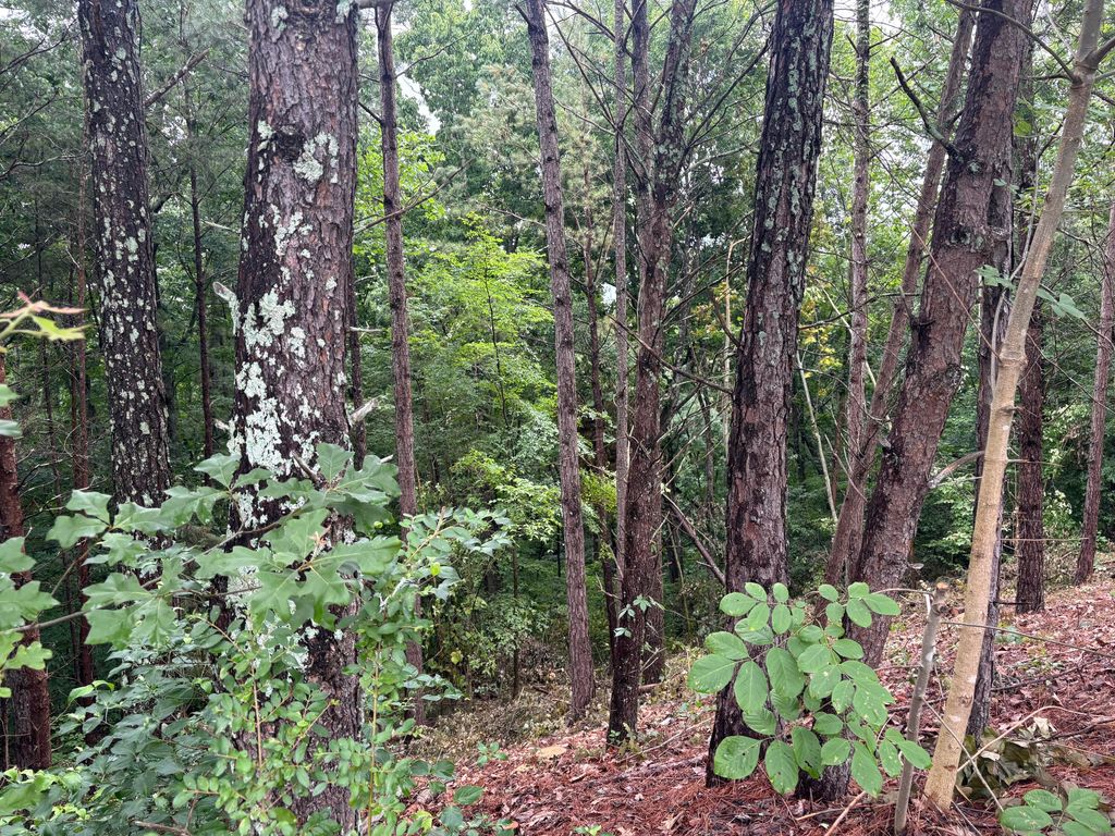 0 NW Benjamin Circle, Cleveland, TN 37312