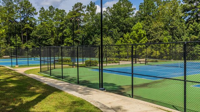 303 Calmato Woods Way, Willis, TX 77318