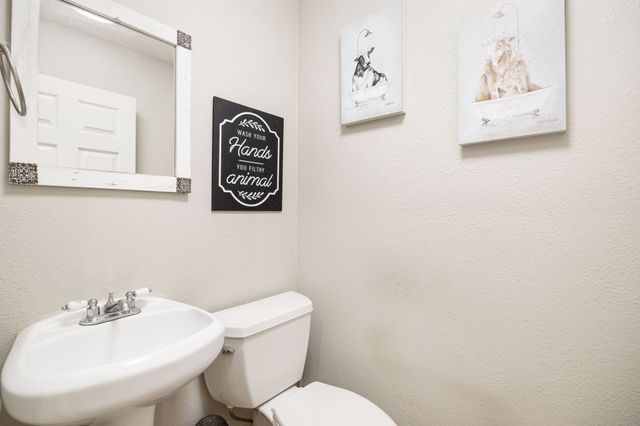 1504 Shields Avenue, Cedar Hill, TX 75104