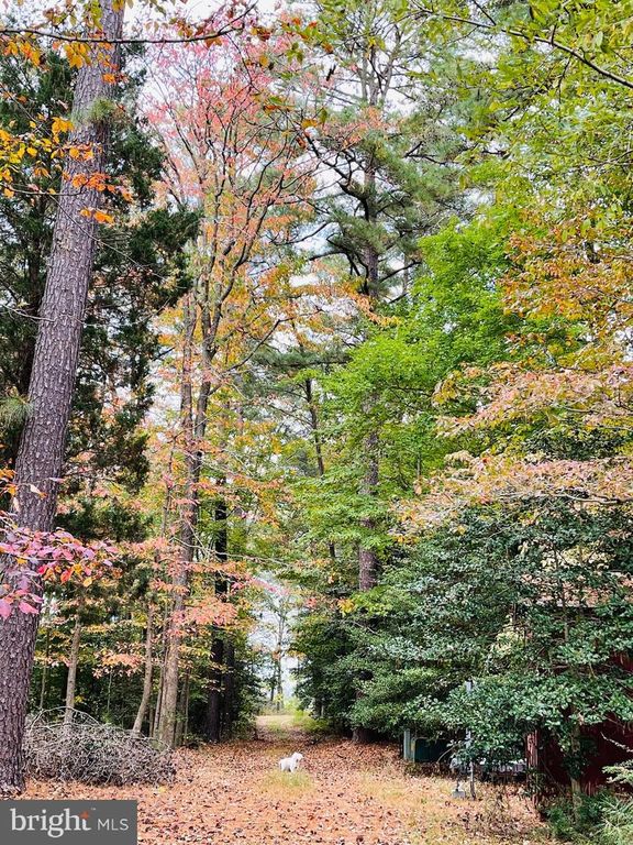 Image 46 of property listing at 1050 PLANTERS WHARF RD, Lusby, MD 20657