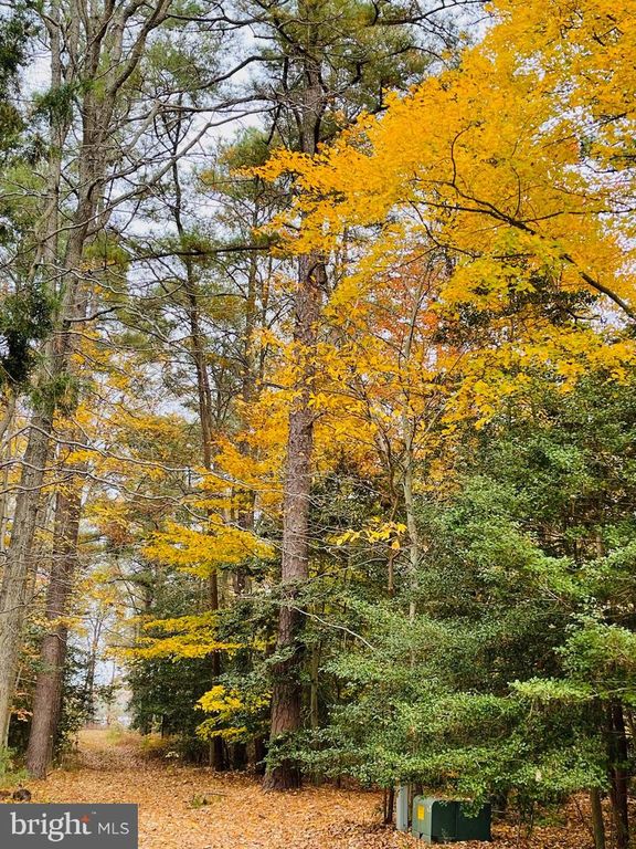 Image 47 of property listing at 1050 PLANTERS WHARF RD, Lusby, MD 20657