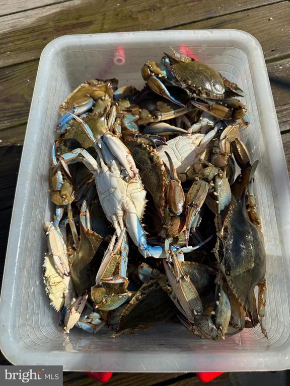 Image 49 of property listing at 1050 PLANTERS WHARF RD, Lusby, MD 20657