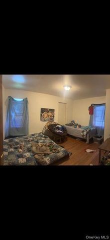 33 Pearl Street, Livingston Manor, NY 12758
