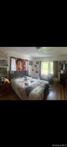 33 Pearl Street, Livingston Manor, NY 12758