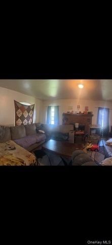 33 Pearl Street, Livingston Manor, NY 12758
