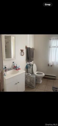 33 Pearl Street, Livingston Manor, NY 12758