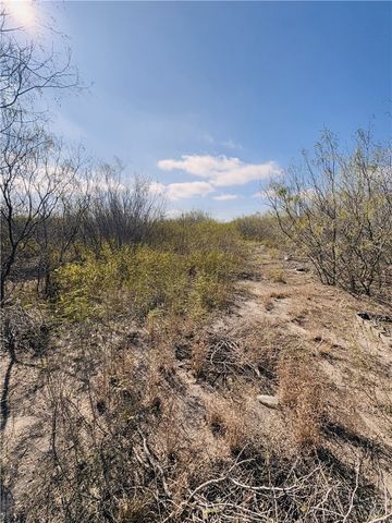 7011 County Road 12, Bishop, TX 78343