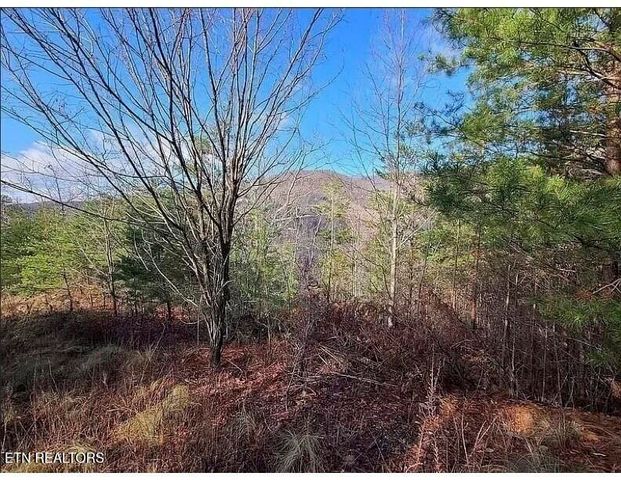 0 Mountaineer Tr Lot 136, Sevierville, TN 37876