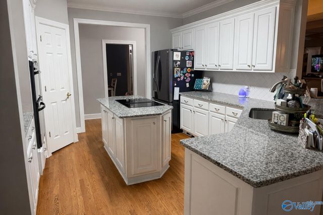 208 Wimberly Drive, Scottsboro, AL 35769