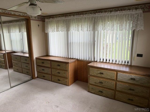 13 Lorraine Place, West Seneca, NY 14224