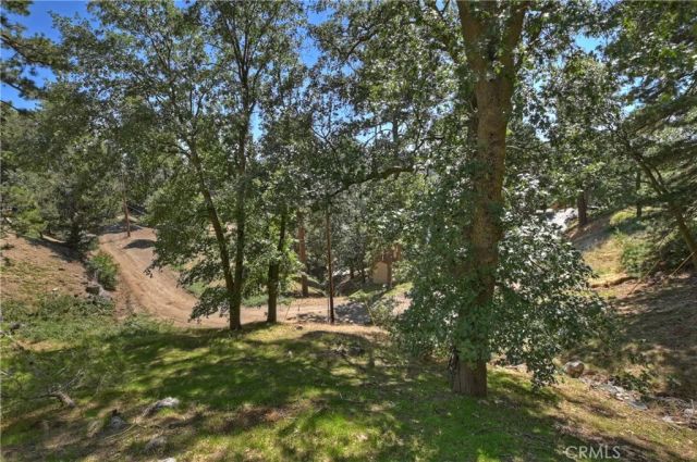 21510 Crest Forest Drive, Cedarpines Park, CA 92322