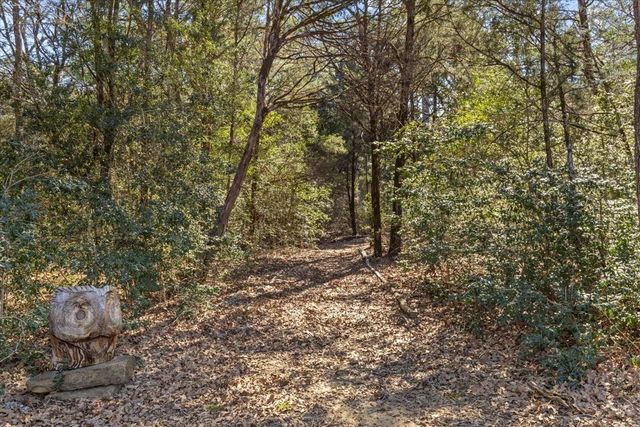 133 Blue Jack Oak LN, Bastrop, TX 78602