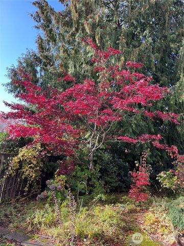 307 X Street, Tumwater, WA 98501