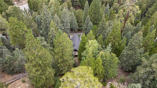 875 Brentwood Drive, Lake Arrowhead, CA 92352