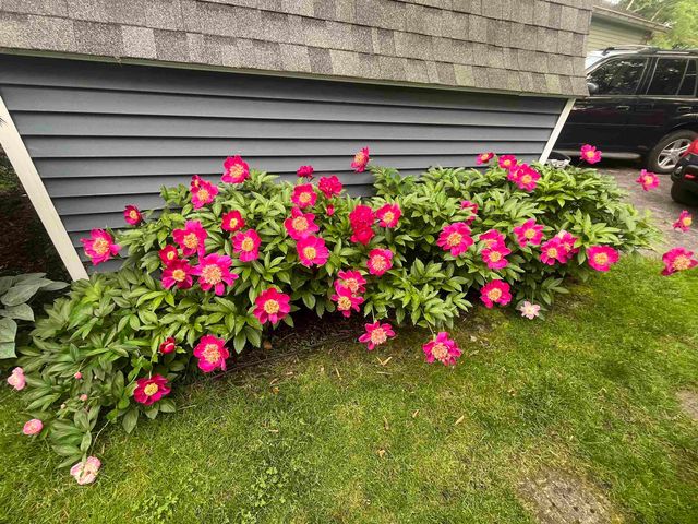 3718 Peninsular, Green Lake Twp, MI 49637