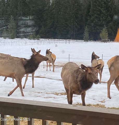 828 W Fork Eagle Creek Rd, Wallace, ID 83873