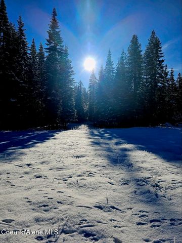 828 W Fork Eagle Creek Rd, Wallace, ID 83873