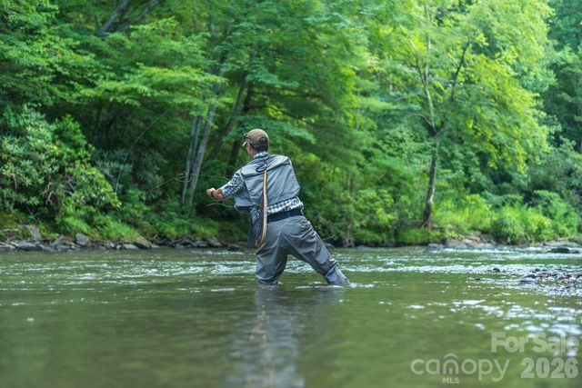 40 Country Bear Lane, Flat Rock, NC 28731