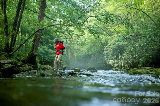 40 Country Bear Lane, Flat Rock, NC 28731