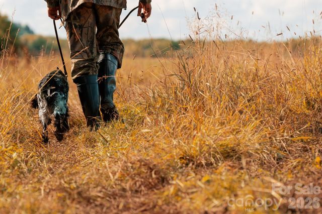 40 Country Bear Lane, Flat Rock, NC 28731