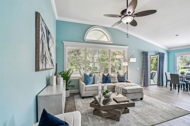 13401 FAWN SPRINGS DRIVE, Tampa, FL 33626