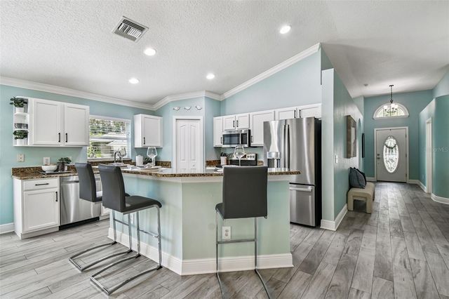 13401 FAWN SPRINGS DRIVE, Tampa, FL 33626