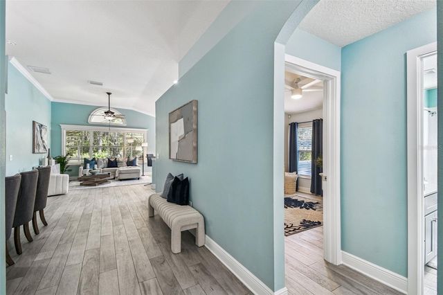 13401 FAWN SPRINGS DRIVE, Tampa, FL 33626