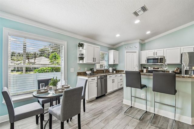 13401 FAWN SPRINGS DRIVE, Tampa, FL 33626