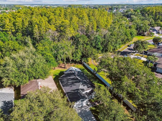 13401 FAWN SPRINGS DRIVE, Tampa, FL 33626