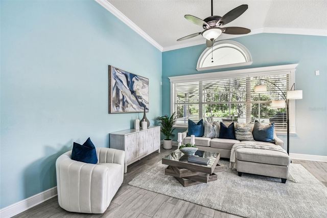 13401 FAWN SPRINGS DRIVE, Tampa, FL 33626